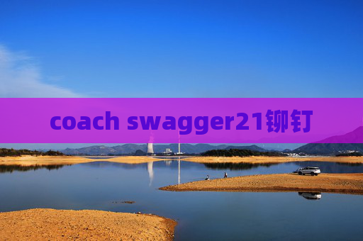 coach swagger21铆钉